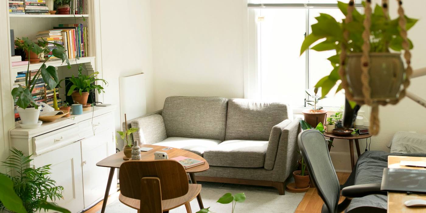 Bright living room with a grey sofa and plants